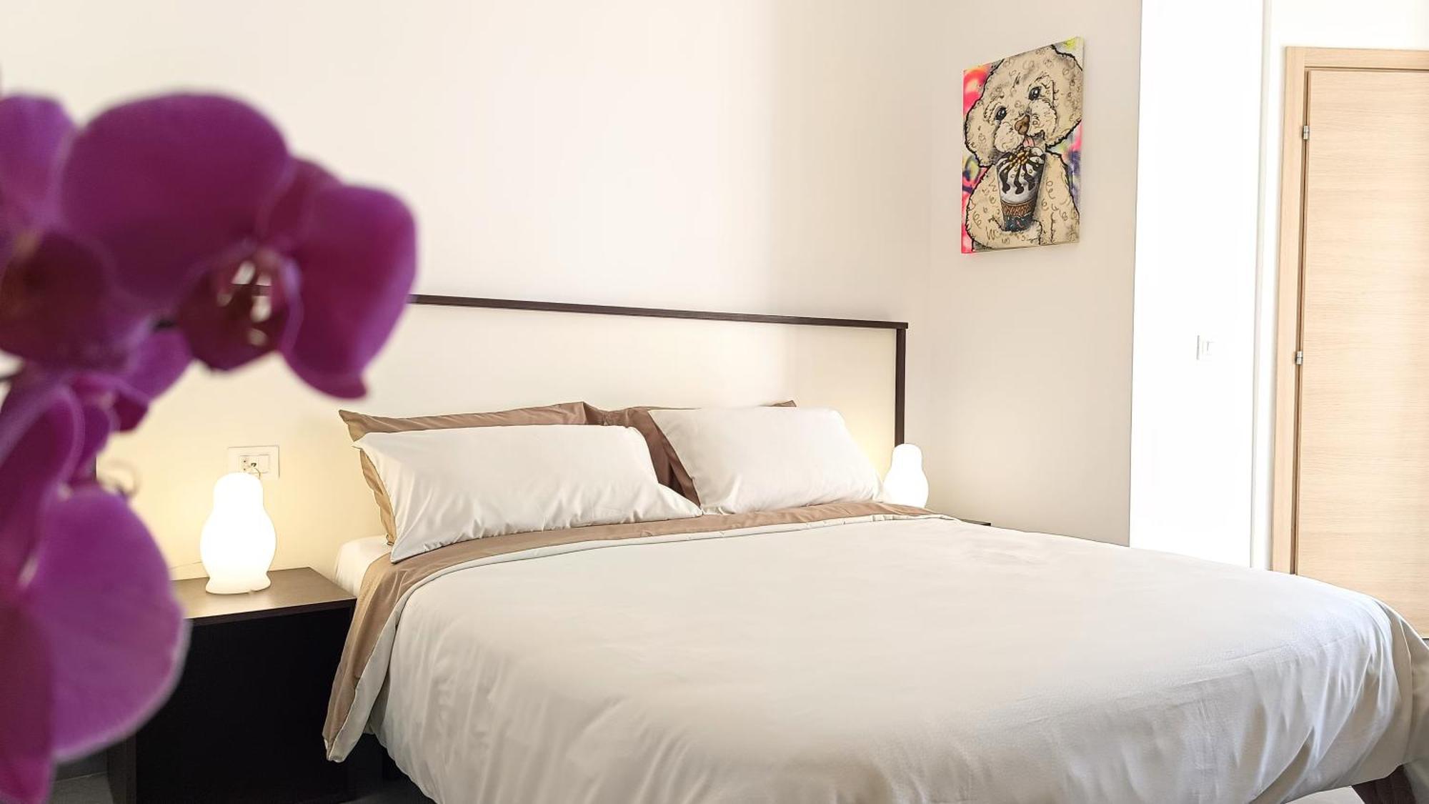 Lido Rooms & Apartments 利多迪费尔莫 外观 照片